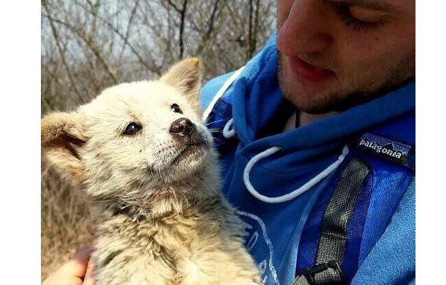 Hiker Saves Puppy Escaped from Meat Farm