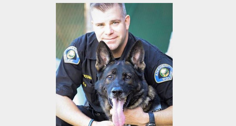 Hero Officer Bruno, Anaheim K-9 Unit, Passes Away