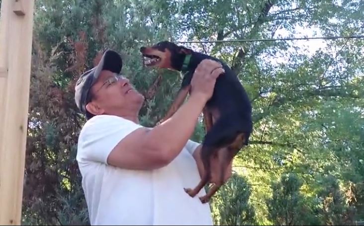 Dog reunites with previous owner after 2 years