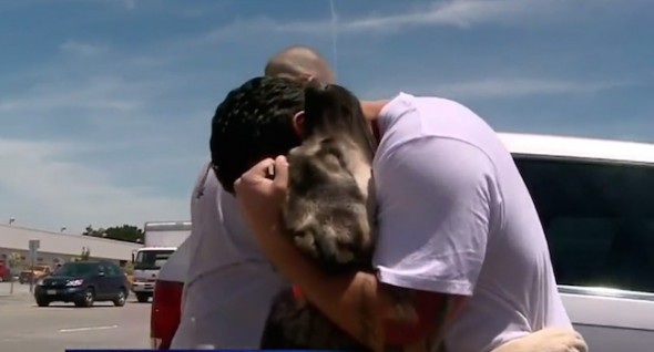 FEELZ! Bay Area Soldier Reunites With Dog He Befriended in Iraq