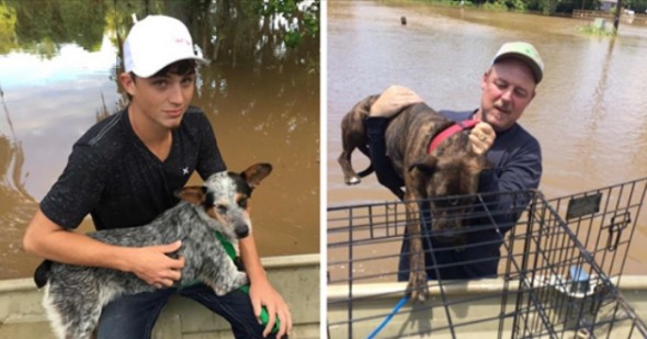 Father and Son Rescue Team Rescue 40 Dogs From Texas Flood