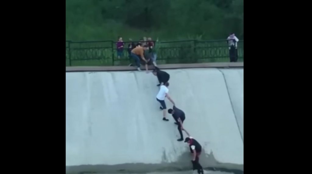 Human Chain Saves Dog from Reservoir