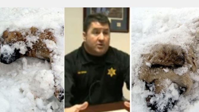 Deputy allows two dogs to freeze to death and fails compassionate test