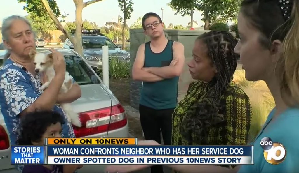 Who’s The Rightful Owner? Two Women Argue, Both Claiming To Be The Owner Of The Same Dog