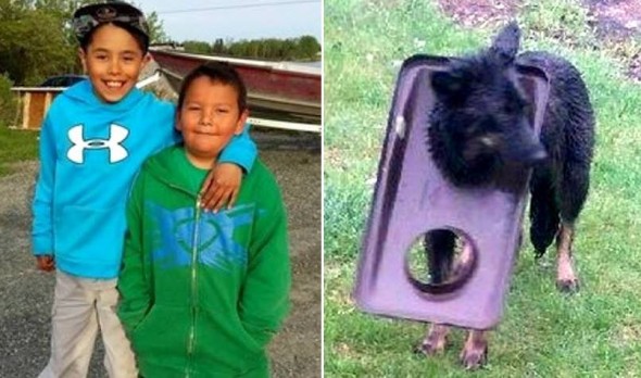 Heroic Young Boys Rescue Mother Dog Stuck in Trash Can Lid