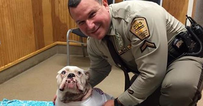 Police Officer used his bare hands to stop a puppy from bleeding to death