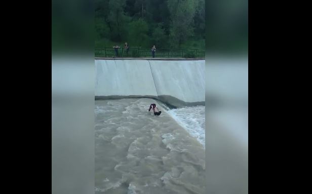 Group Of People Work Together To Save A Dog Seconds From Drowning