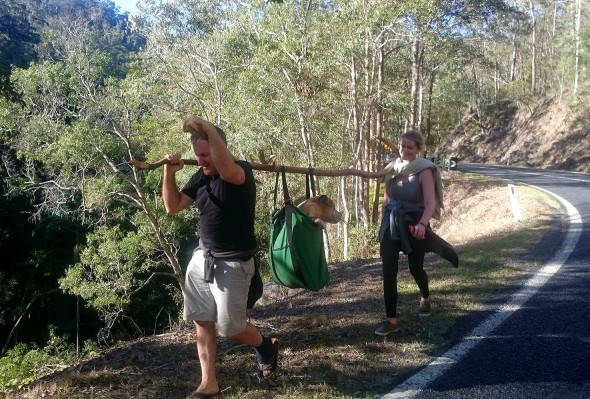 Refusing to Give Up on a Lost Dog Too Exhausted to Move, Hikers Go MacGuyver