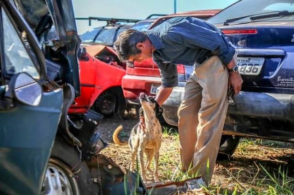 Man Adopts Devoted Dog Who Spent Four Months Living in the Car Where His Owner Died