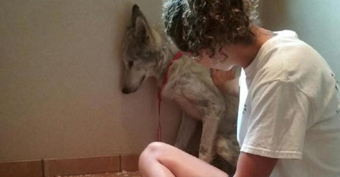 Rescuers Thought This Stray ‘Dog’ Looked Strange… Then They Realized It Wasn’t A Dog At All.