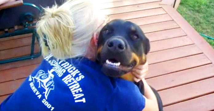 Nobody Believed Her When She Said What Her Rotty Does When She Pets Him. So She Filmed THIS