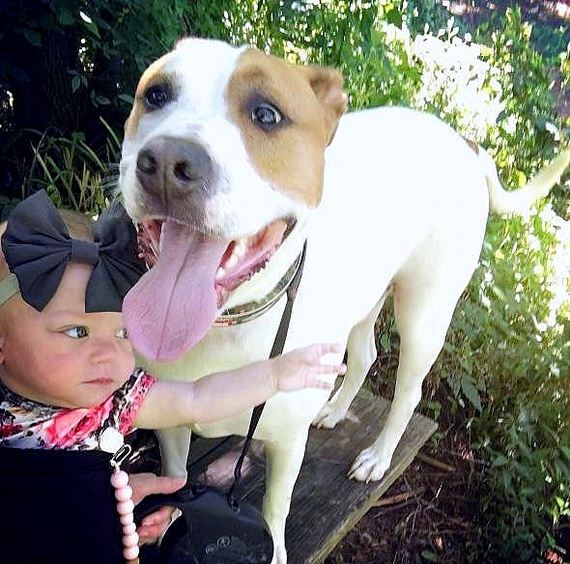 06-Rescue-Dog-in-Love-With-His-Baby-Sister