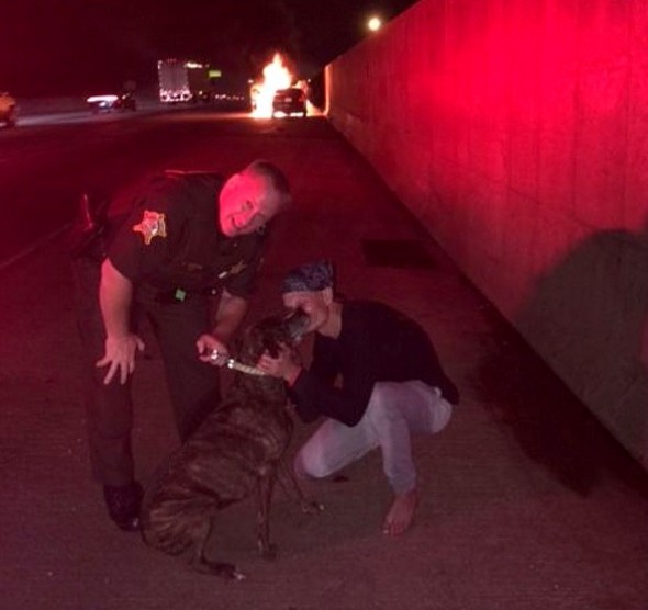 Sheriff’s Deputy Risks His Life to Save a Dog Trapped in a Burning Car