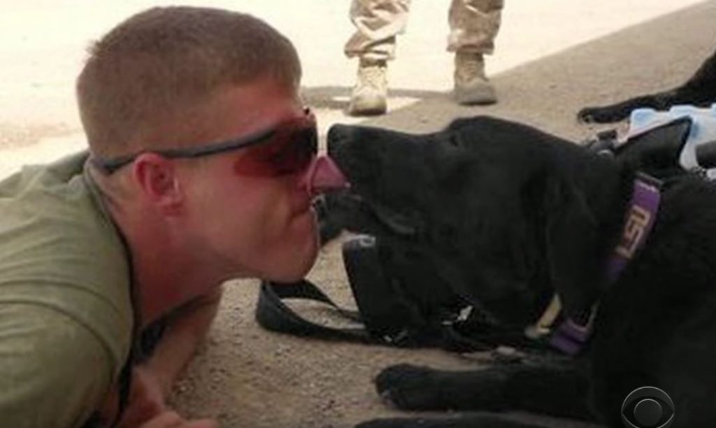 A Marine And Military Dog Who Haven’t Seen Each Other In Three Years Reunite, And It’s Beautiful!