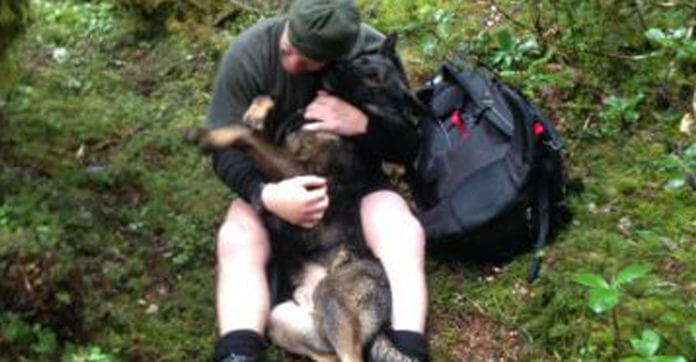 This Dog Got Lost In The Woods. But When His Handler Finds Him? Oh My!