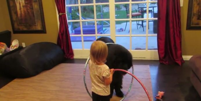 You Haven’t Seen Cute Until You’ve Seen This Little Girl Teaching Her Dog To Hula Hoop