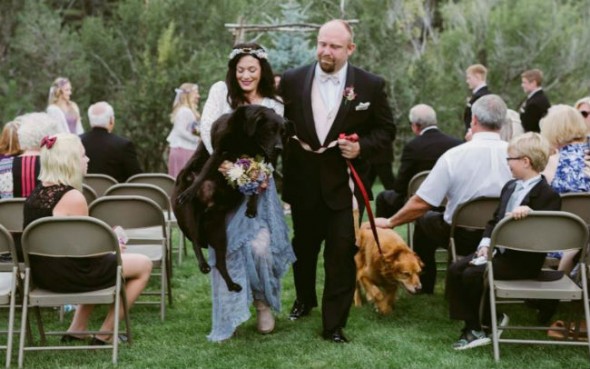 Maid of Honor Carries Bride’s Dying Dog Down the Aisle