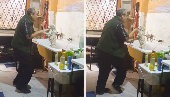 What This Groomer is Caught on Tape Doing With His Client’s Dog is Just Too Much!