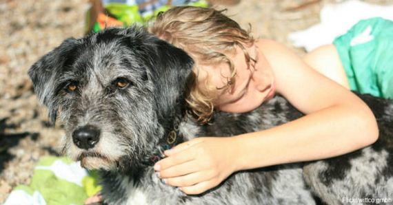 Arizona Woman Reunites Over 800 Lost Pets With Owners!