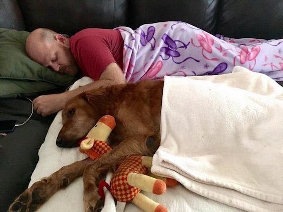 Sick doggo’s final ride turns out to be just what he needed