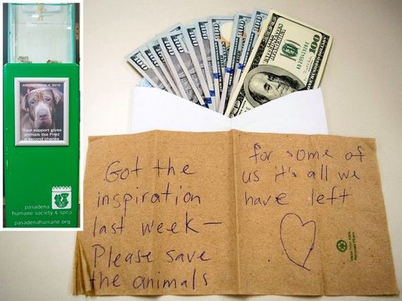 Mystery Benefactor Leaves $8,000 in Animal Shelter’s Donation Box
