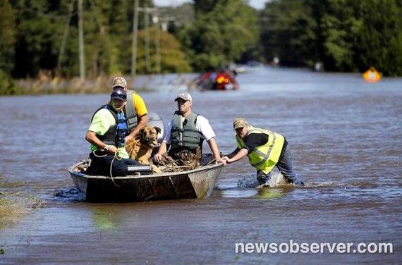 Dogs Fighting to Survive North Carolina Floodwaters Are Rescued