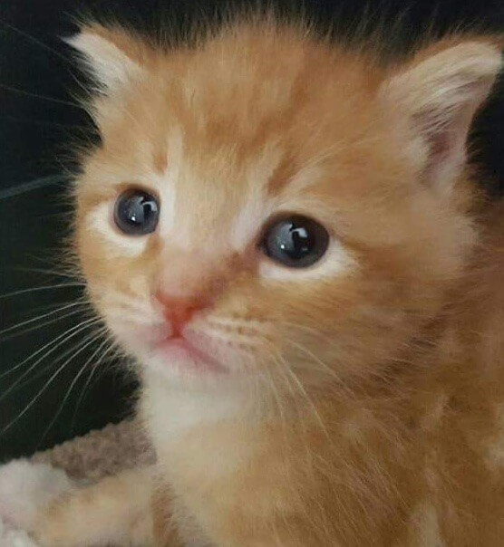 6-36