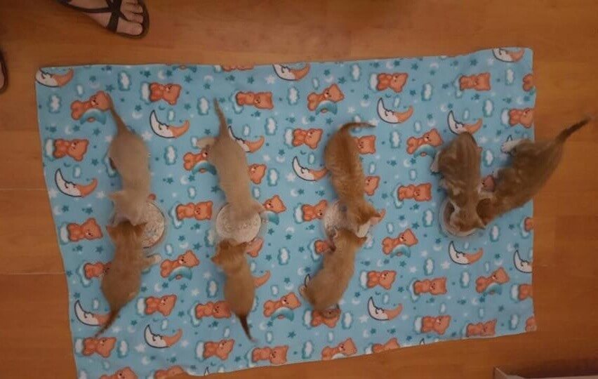 8-22