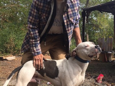 House Fire Victim Sleeps Outside to Keep His Dog