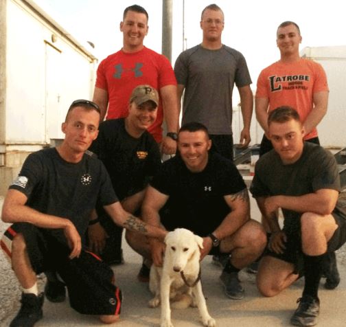 U.S. Soldiers To Adopt Rescued Dogs From the Middle East