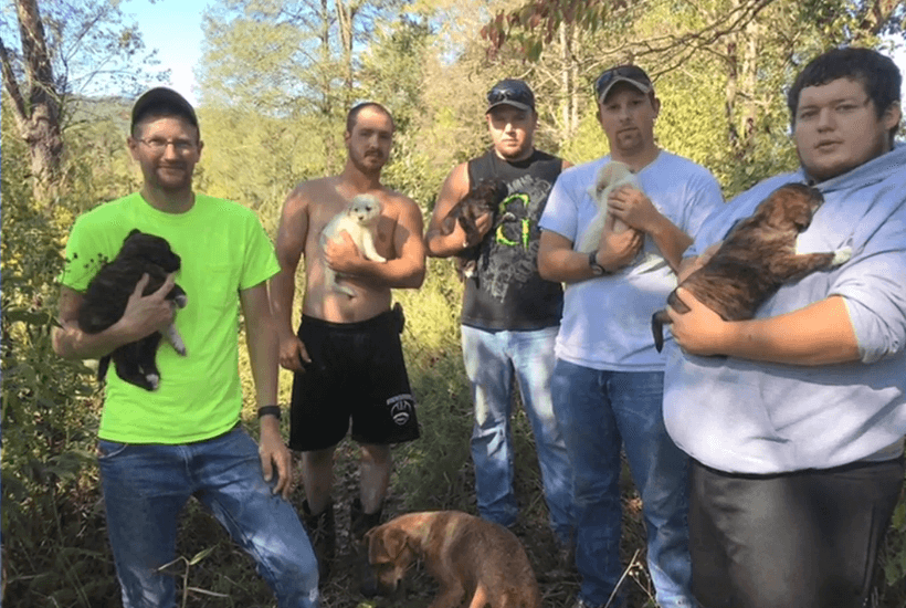 Group Of Guys Were Enjoying A Bachelor Party In The Woods. Then They Become Heroes.