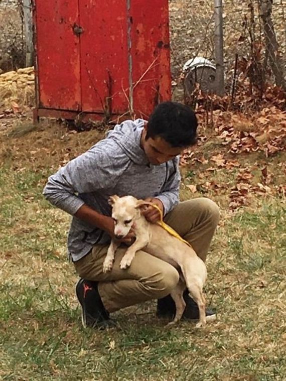 Teen Volunteers with Mom at Rescue and Has Abused and Neglected Dog Change His Life
