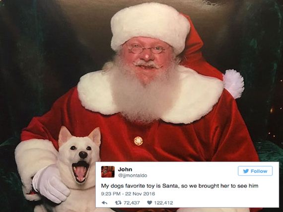 Doggo meeting Santa has the best reaction ever