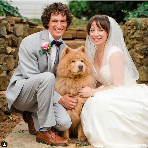 Couple Adopts a Cantakerous Senior Dog and Now She’s Their Princess