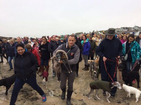 Hundreds Of People Join Beloved Dog For Last Walk On His Favorite Beach