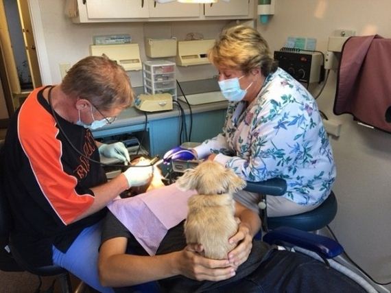 Scared of the Dentist? Well Karma the Dental Therapy Dog May Be Your Answer!