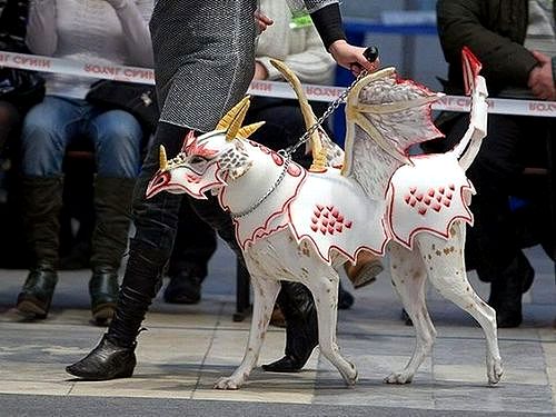 Pets Who Totally Nailed Their Halloween Costumes