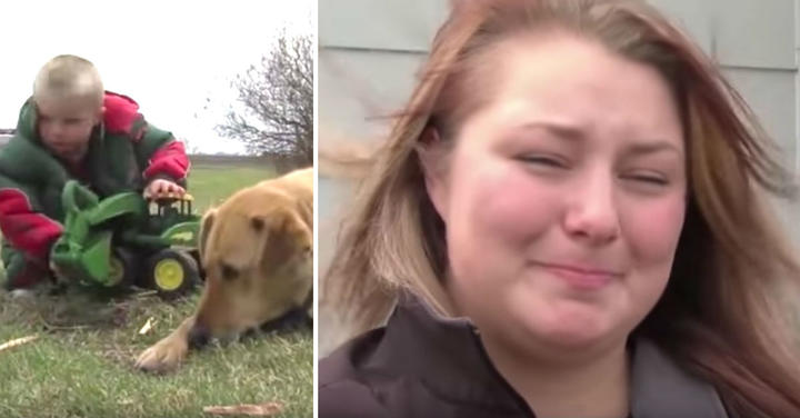 3yearold-disappears-from-yard-then-rescuers-spot-family-dog-lying-on-top-of-him-in-a-field_1