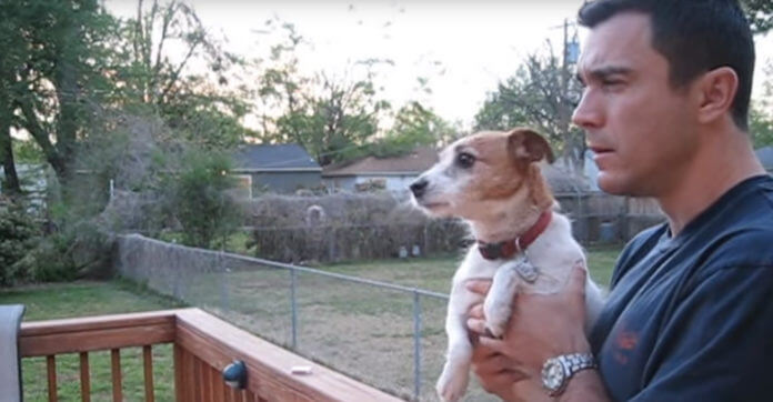 Dog Goes Adorably Nuts When Dad Talks To Her About Squirrel