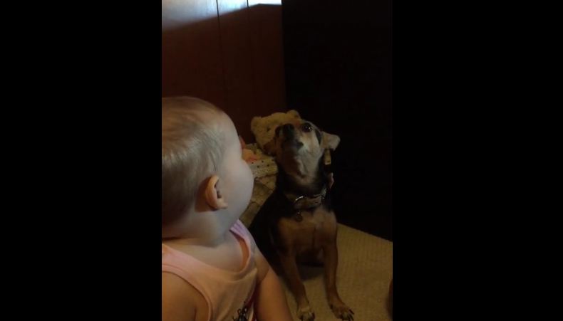 Baby Starts Singing Alone For The Camera, But His Tiny Dog Wants To Harmonize