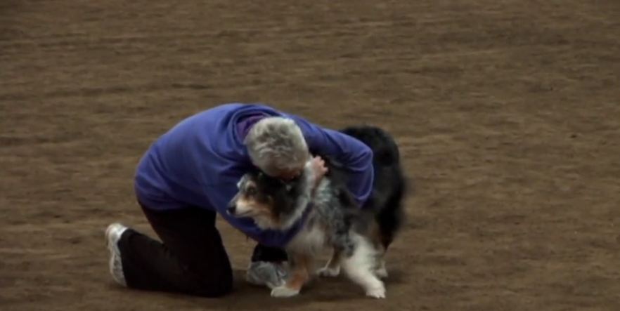 Watching This Dog’s Final Agility Run Will Bring Tears To Your Eyes