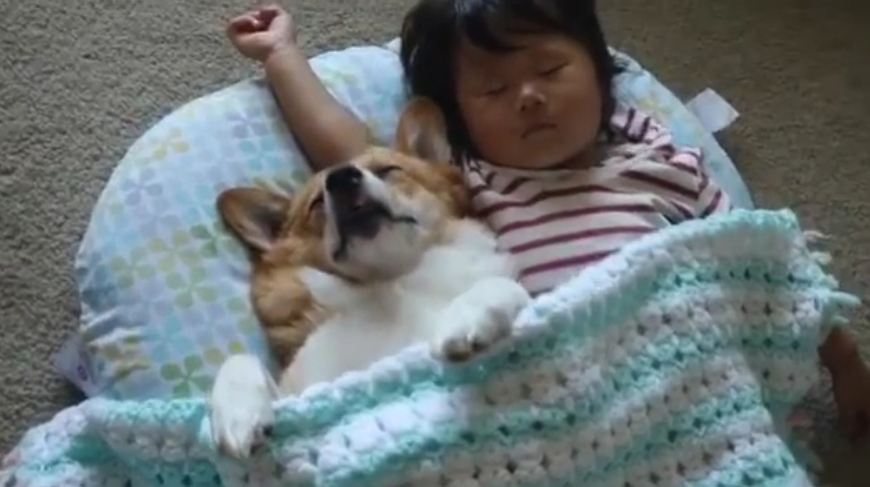 Hey, Join Your Friends On PMG! Mom caught the dog and baby in the middle of the most precious nap