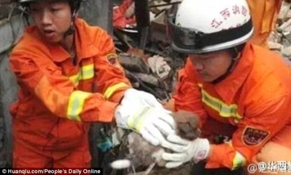 Firefighters Save a Mom and Her Nine Pups from a Collapsed House in China