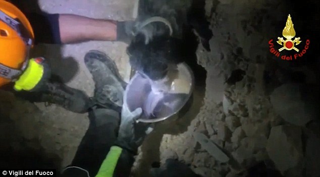 Dog Survives Building Collapse Caused by a 6.6-Magnitude Quake in Italy