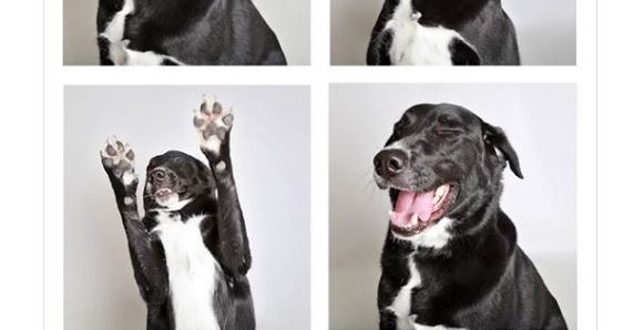 Tippy Aims to Break Internet with his Adoption Photos!