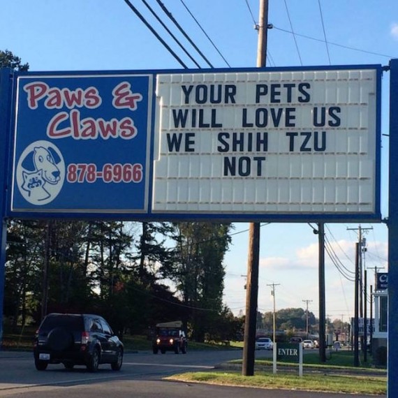 These 13 signs prove that vets have a great sense of humor