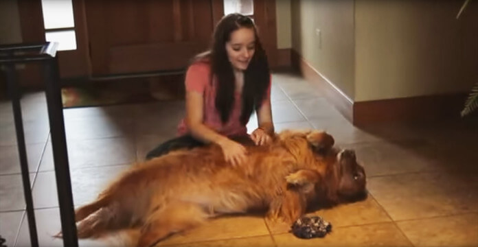 Her dog hates to be left home alone, so she came up with a great idea
