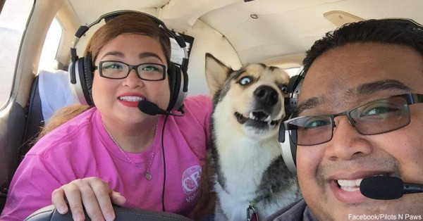 These Volunteer Pilots Airlift Shelter Animals to New Homes Around the Country!