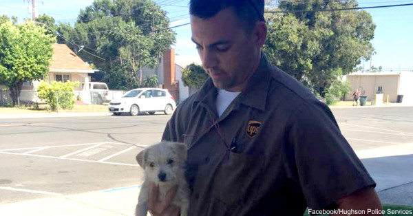 A Quick-Thinking UPS Driver Saved This Puppy’s Life!