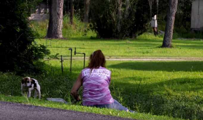 Woman Spots Terrified Beagle By Highway, Then She Sits Down Until Dog Comes To Her